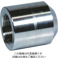 フジトク ボス カップリング 15A ステンレス SUS316L ねじ込み BOSS-PT-15A-SU6L 1個 111-6988（直送品）