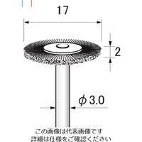 アルゴファイルジャパン（ARGOFILE） アルゴファイル スチールブラシ BTS3007 1本 205-8052（直送品）