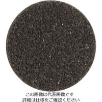 アルゴファイルジャパン アルゴファイル シリコンカーバイドディスク A1320 1袋(100枚) 198-2305（直送品）