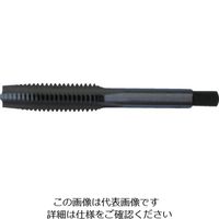 オーエスジー（OSG） OSG タップ 25092 HT2-S-M1.7X0.35 1本 478-0469（直送品） - アスクル