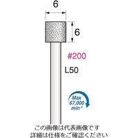 アルゴファイルジャパン アルゴファイル ダイヤインターナル(電着ダイヤモンドインターナル) DEP3113 1袋(2本) 198-0692（直送品）