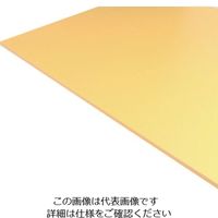 アクリサンデー FORE 3mm E-5005 3MM