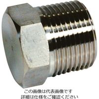 フジトク 六角プラグ 25A ステンレス 304 6PU-PT-25A-SU4 1個 111-6979（直送品）