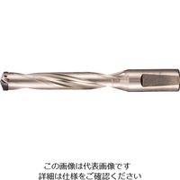 グーリング 刃先交換式超硬ドリルホルダ5×D用 37.51～40.50mm 5243 40.500 182-0192（直送品）