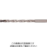 グーリング 超硬ダブルマージンドリル12×D用 FIREコート 10mm 5525 10.000 232-6403（直送品）