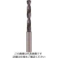 ムラキ ボーテック 汎用工作機械用ガンドリル 刃径6mm B110-060310 1本(1個) 480-8037（直送品） - アスクル