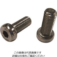 コノエ ローヘッド六角穴付きボルト SUS304CUN 全ねじ 4x10 LHCS-304CUN-410 1セット(10本) 220-4136（直送品）