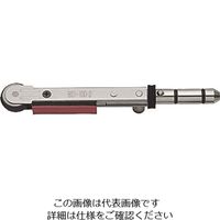 アルゴファイルジャパン アルゴファイル 標準型ベルトアーム BS1-100-2 1本 198-7031（直送品）