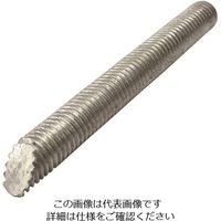 コノエ ケミカルアンカー用 寸切り 鉄 溶融亜鉛メッキ 10×200 CHEM-BT-SS-HDZ-10200 1セット(10本) 215-9498（直送品）