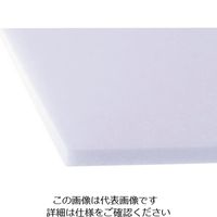 アクリサンデー 発泡PPシート白200mmx300mmx5mm HP-1-SS-5MM 1セット(5枚) 197-1565（直送品）