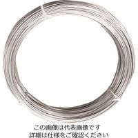 ダイドーハント ステンレス線 10kg巻 #21 00057003 1巻 225-2098（直送品）