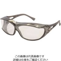 アックス PGー605 PG-605 1セット(6個) 224-3667（直送品）