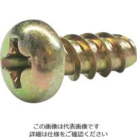 ダイドーハント HP プラスチック用タイト小ネジ