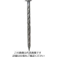 DAIDОHANT HP ステンスクリュー釘 丸頭 3.0×65 10本入 10186687 1セット(50本:10本×5パック)（直送品）