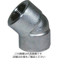 フジトク 45°エルボ 45E 25A ステンレス SUS304 ねじ込み 45E-PT-25A-SU4 1個 111-8523（直送品）