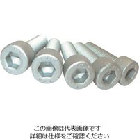 コノエ 強度区分14.9超強度六角穴付きボルト デルタプロテクト 全ネジ 10×16 CS-149-DP-F-1016 1セット(4本)（直送品）