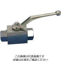 フジトク 二方ボールバルブ 25A(1) ステンレス SUS304 NBR NB-2-8-SU4JN 1個 111-8497（直送品）