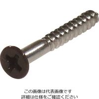 ダイドーハント ネジカラー ステンレス 木ねじ 皿頭 3.1x25茶(16本) 10179116 1パック(16本) 146-6422（直送品）