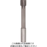 グーリングジャパン GUHRING 高速加工用リーマ レギュラ 34mm 1683 34.000 1本 234-6121（直送品）
