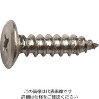 ダイドーハント ステンレス 超低頭タッピング 4x30 6本入 10179209 1パック(6本) 146-6503（直送品）
