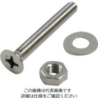 ダイドーハント HP ステンレス小ネジ 皿 3X25 6本入 10184410 1セット(30本:6本×5パック) 117-1443（直送品）
