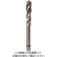 グーリングジャパン グーリング 高能率用メートル並目ねじ用タップ レギュラ M6×1 4466 6.000 1本 181-7293（直送品）