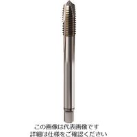 グーリングジャパン グーリング 高能率用メートル細目ねじ用タップ レギュラ M6×0.75 4469 6.004 1本 181-7356（直送品）