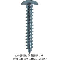 DAIDОHANT HP ユニクロ タッピング トラス 4×6 20本入 10185936 1セット(100本:20本×5パック)（直送品）