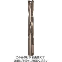 グーリングジャパン グーリング ドリルホルダ 5XD用 29.50~29.99mm 4108 29.500 1本 180-4184（直送品）