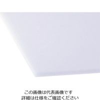 アクリサンデー 発泡PPシート白450mmx600mmx3mm HP-1-M-3MM 1セット(5枚) 197-1589（直送品）