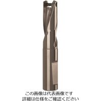 グーリングジャパン グーリング ドリルホルダ 1.5XD用 14.50~14.99mm 4106 14.500 1本 182-3202（直送品）