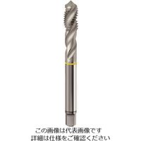 グーリングジャパン グーリング 低剛性用メートル細目ねじ用タップ低剛性用 レギュラ M10×1 4458 10.005 1本（直送品）