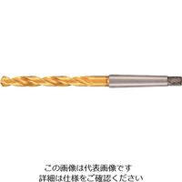 グーリングジャパン グーリング ハイスドリル レギュラ TiNコート 21.25mm 654 21.250 1本 232-9153（直送品）