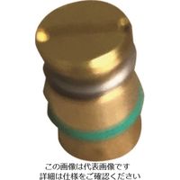 アルゴファイルジャパン アルゴファイル KN105ー8 トメセン (200 ゚C) 1パック(10個) 220-8651（直送品）