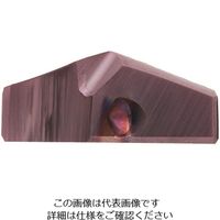 グーリングジャパン グーリング 刃先交換式超硬ドリル用チップ 20.5mm 2485 20.500 1本 233-1048（直送品）