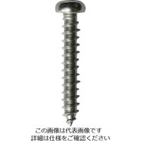 DAIDОHANT HP ステンレス タッピング 鍋 2×6 20本入 10185548 1セット(100本:20本×5パック)（直送品）