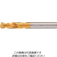グーリングジャパン グーリング ハイスドリル ショート/スタブ TiNコート 1.61mm 659 1.610 1セット(10本)（直送品）