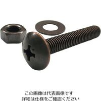 ダイドーハント HP ブロンズ小ネジ トラス 4X40 4本入 10186464 1セット(20本:4本×5パック) 117-7746（直送品）