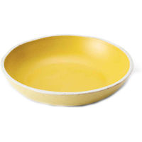 丸利玉樹利喜蔵商店 プレート 22cm Palm パーム 陶器 イエロー 444866 1個（直送品）