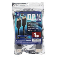 サンワサプライ DisplayPort-DVI変換アダプタ AD-DPDVA01 1個