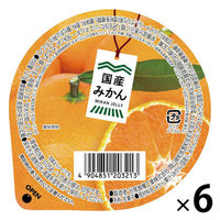 谷尾食糧工業 ゼリー 国産果実