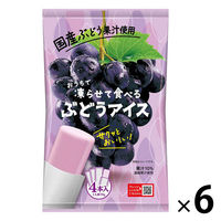 アイス シャーベット 凍らせて食べる　ぶどうアイス 4本入 70g 1セット（1個×6）