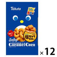 コーンスナック 食べきりサイズ ソルティ キャラメルコーン 67ｇ 1セット（1個×12）
