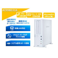エプソンダイレクト デスクトップ Endeavor AT998 仕様固定モデル AT998D3-16 1台（直送品）