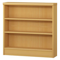 大洋 Shelfit Shelfit エースラック 幅700×奥行190×高さ700mm ナチュラル AR7070S(NA) 1台（直送品）