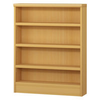 大洋 Shelfit エースラックタフ 幅700×奥行190mm