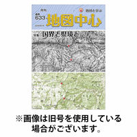 地図中心 2025/10/10発売号から1年(12冊)(雑誌)（直送品）