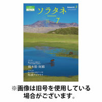 ソラタネ 2025/10/01発売号から1年(12冊)(雑誌)（直送品）