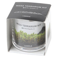 育てるグリーン(MOSS)2 MOSS LAKOLE/ラコレ