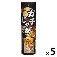 ポテトスナック ガチじゃが ガーリック＆チキン味 98g 1セット（1個×5）